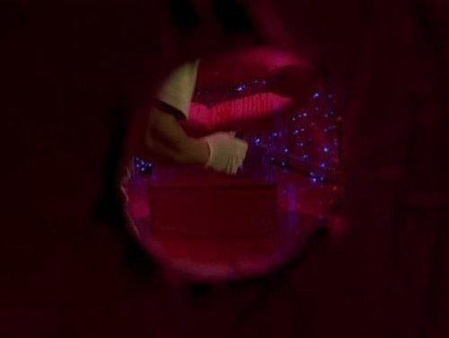 Background image for Evidence of Things Unseen