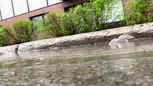 La facture Season 29 Episode 4 - Episode 4