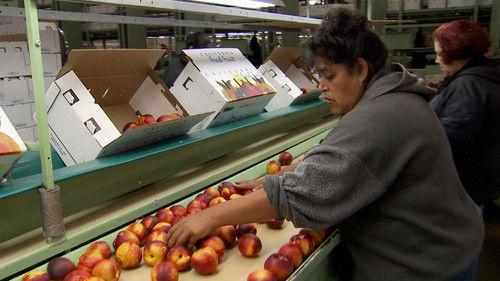 Modern Marvels Season 23 Episode 9 - Harvesting Plus