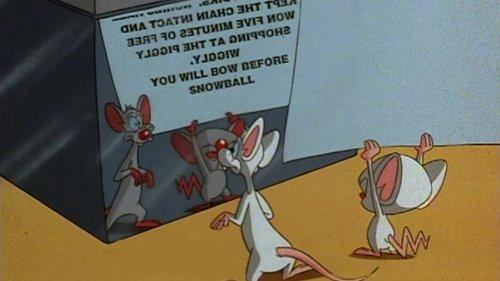 Pinky and the Brain Season 1 Episode 10 - TV or Not TV