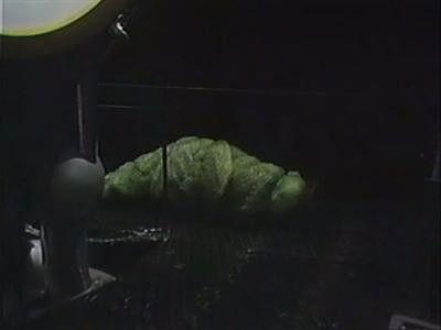 Doctor Who Season 12 Episode 6 - The Ark in Space (2)