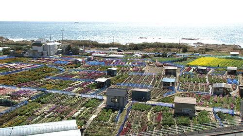 Seasoning the Seasons Season 6 Episode 2 - Boso Peninsula: A Carpet of Flowers