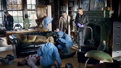 Law & Order: UK Season 8 Episode 2 - Safe from Harm