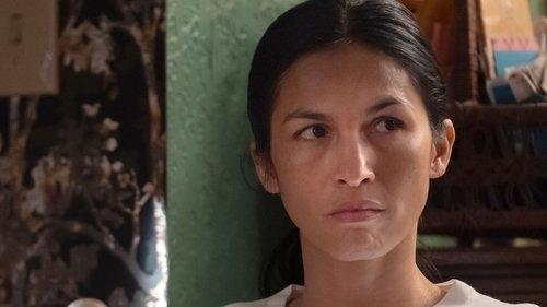 The Cleaning Lady Season 3 Episode 11 - Fight or Flight