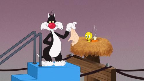 Looney Tunes Cartoons Season 4 Episode 8 - Telephone Pole Gag: Airplane Stairs
