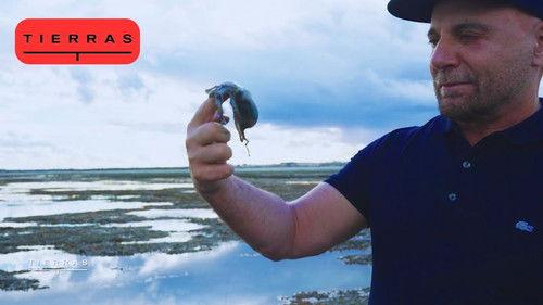 Proyecto Tierras Season 4 Episode 1 - Episode 1