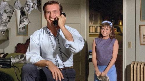 Gidget Season 1 Episode 15 - Now There's a Face