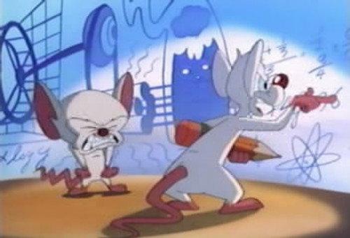 Pinky and the Brain Season 1 Episode 4 - That Smarts