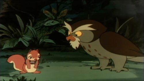 Bannertail: The Story of Gray Squirrel Season 1 Episode 2 - Friends of the Forest