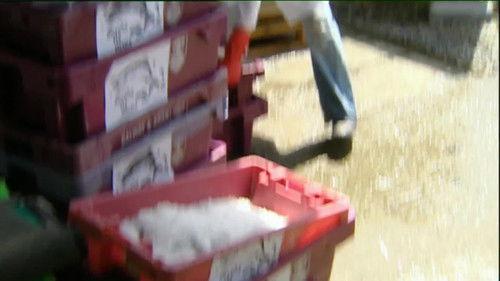 Background image for Episode 5