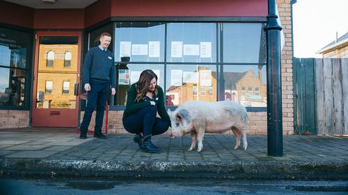 Rosehaven Season 3 Episode 1 - Episode 1