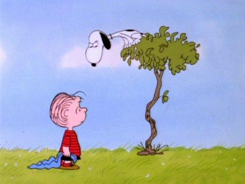 The Charlie Brown and Snoopy Show Season 1 Episode 12 - It's That Team Spirit, Charlie Brown