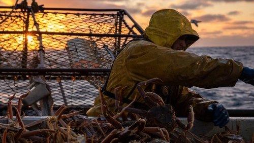 Deadliest Catch Season 20 Episode 4 - Lights Out!