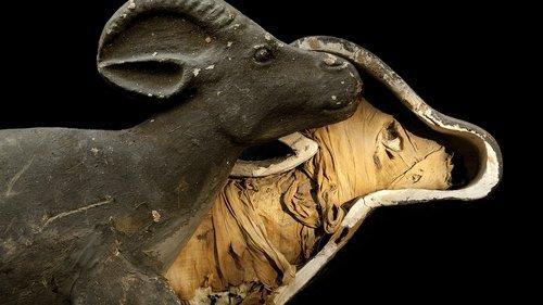 NOVA Season 43 Episode 5 - Animal Mummies