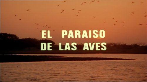 El hombre y la Tierra Season 1 Episode 14 - Episode 14