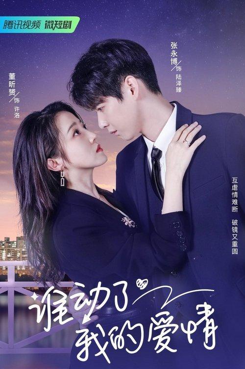 Love Starts After Divorce poster