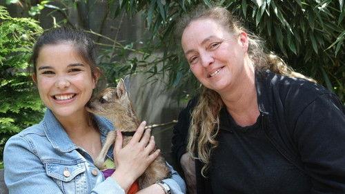 Anna und die wilden Tiere Season 1 Episode 24 - Episode 24