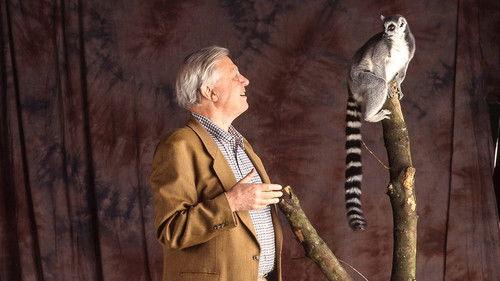 The Life of Mammals Season 1 Episode 3 - Plant Predators