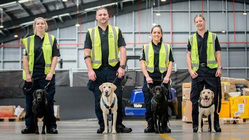 Dog Squad Season 12 Episode 1 - Episode 1