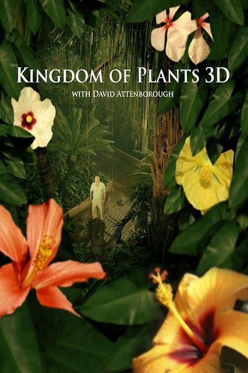 Kingdom of Plants poster