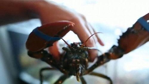 Le Doc du dimanche Season 11 Episode 1 - Episode 1