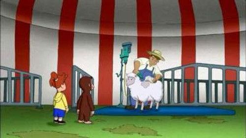 Curious George Season 5 Episode 12 - Curious George, Sheep Herder