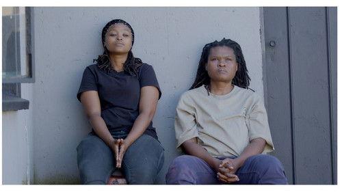 POV Season 37 Episode 12 - Who I Am Not