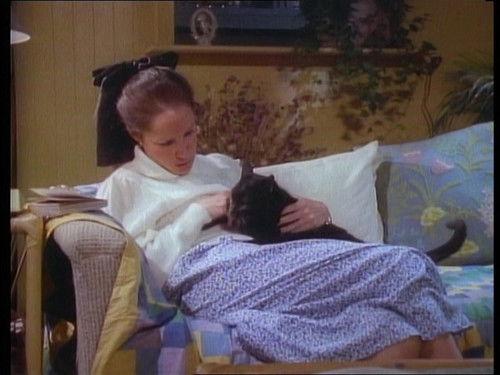 undefined Season 3 Episode 24 - Cat and Mouse