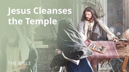 The Life of Jesus Christ Season 1 Episode 14 - John 2 | Jesus Cleanses the Temple
