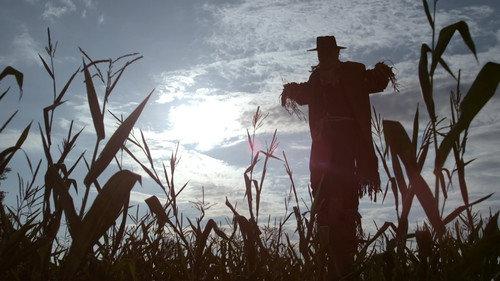 R. L. Stine's The Haunting Hour Season 2 Episode 11 - Scarecrow