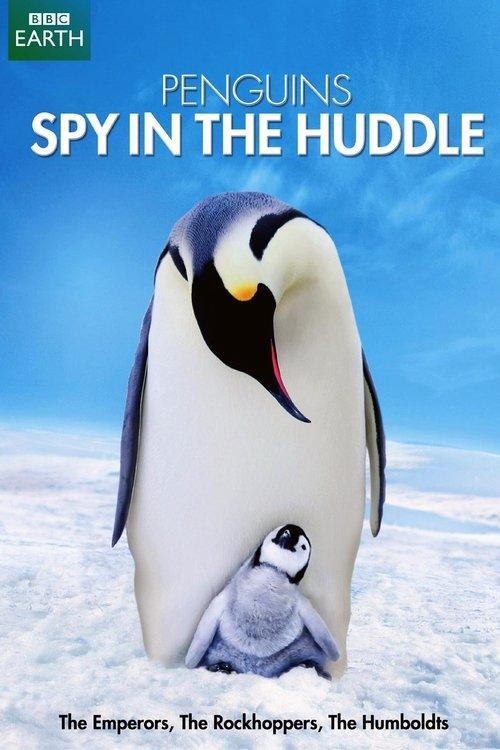 Penguins: Spy in the Huddle poster
