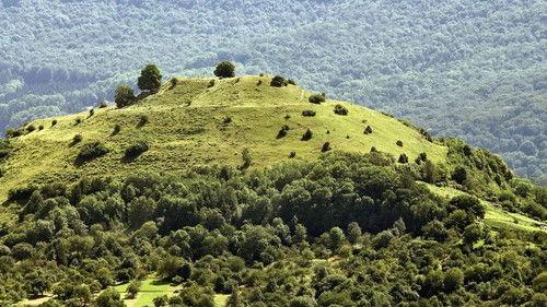 Wild Germany Season 7 Episode 3 - Episode 3