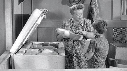 The Andy Griffith Show Season 4 Episode 24 - Bargain Day
