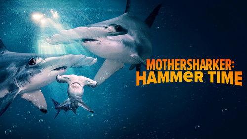 Shark Week Season 37 Episode 21 - Mothersharker: Hammer Time