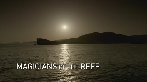 Arabian Seas Season 1 Episode 2 - Magicians of the Reef