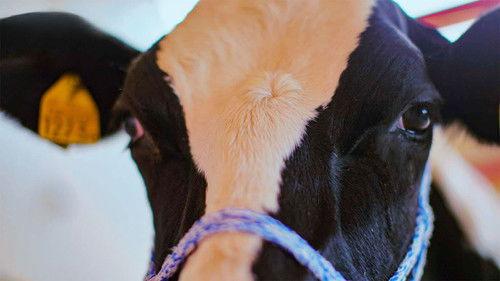 Hit the Road Season 2 Episode 5 - HOKKAIDO