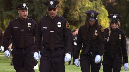 Background image for Partners