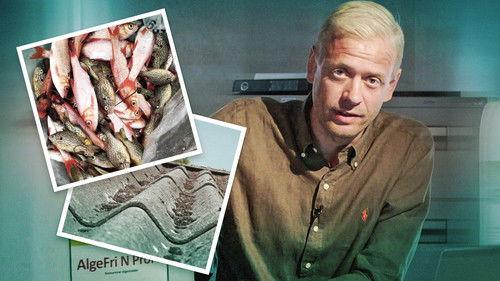 Kontant Season 16 Episode 7 - Episode 7