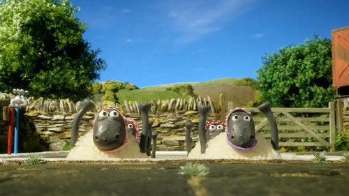 Shaun the Sheep Championsheeps Season 1 Episode 3 - Synchronized Swimming