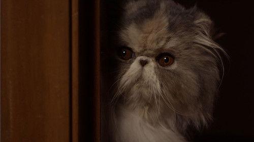 Crims Season 3 Episode 6 - Grandma Anita (2)