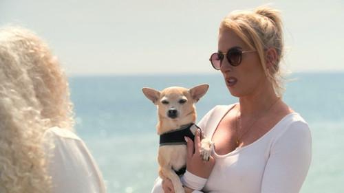 Married at First Sight UK Season 6 Episode 20 - Episode 20