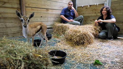 The Zoo Season 1 Episode 2 - Handle With Care