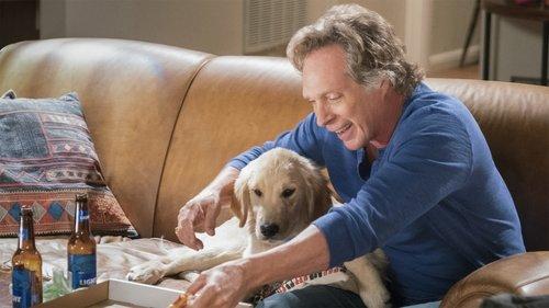 Background image for Phone Confetti and a Wee Dingle