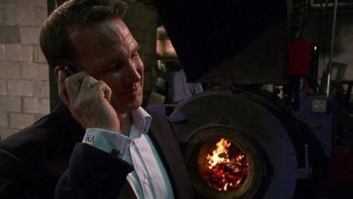 Law & Order Season 18 Episode 18 - Excalibur