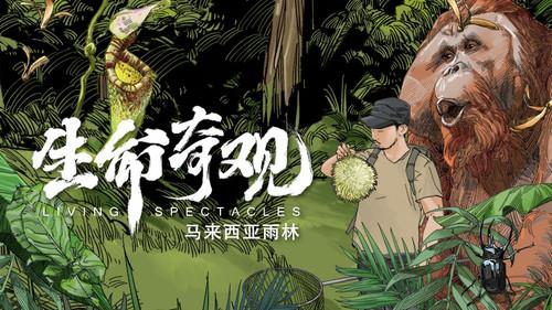 Living Spectacles Season 1 Episode 2 - Malaysian Rainforest