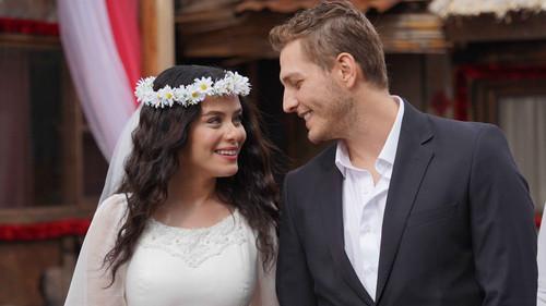 Street Birds Season 1 Episode 21 - Episode 21