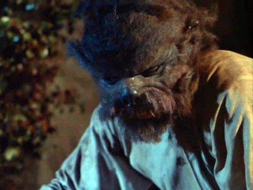 Voyage to the Bottom of the Sea Season 3 Episode 2 - Werewolf