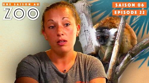Une saison au zoo Season 6 Episode 22 - Episode 22