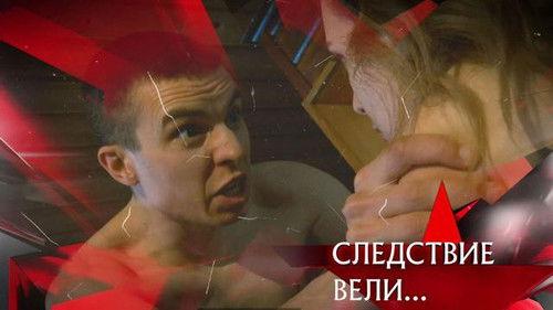 The investigation was conducted Season 17 Episode 12 - Episode 12