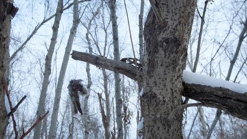 Life Below Zero Season 23 Episode 5 - Dog Eat Dog